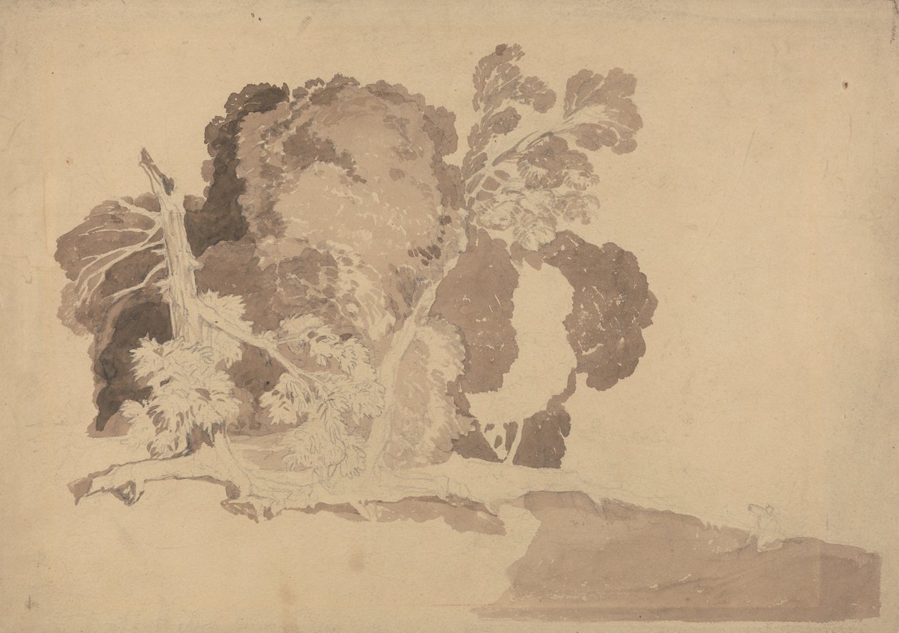 Studio di alberi da John Sell Cotman