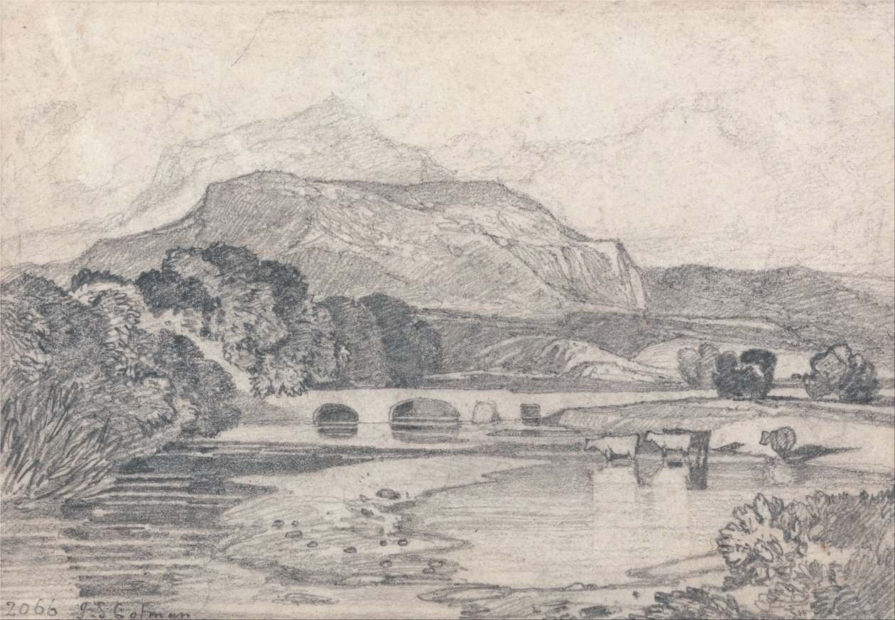 Tan-y-Bwlch, Galles del Nord da John Sell Cotman