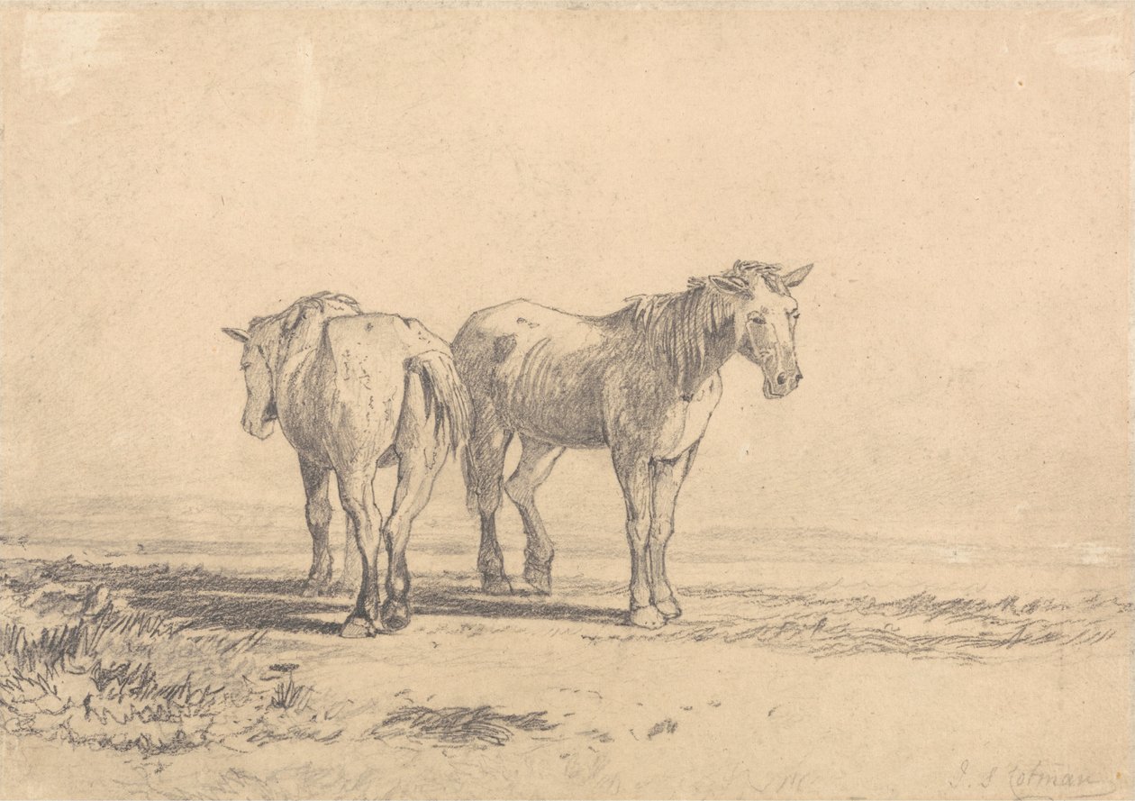 Due vecchi cavalli in un campo da John Sell Cotman