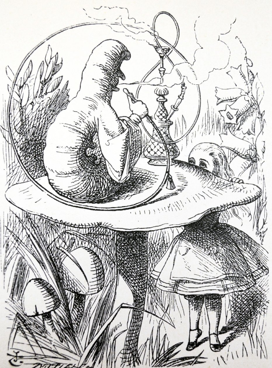 Le avventure di Alice nel Paese delle Meraviglie, 1865 da John Tenniel