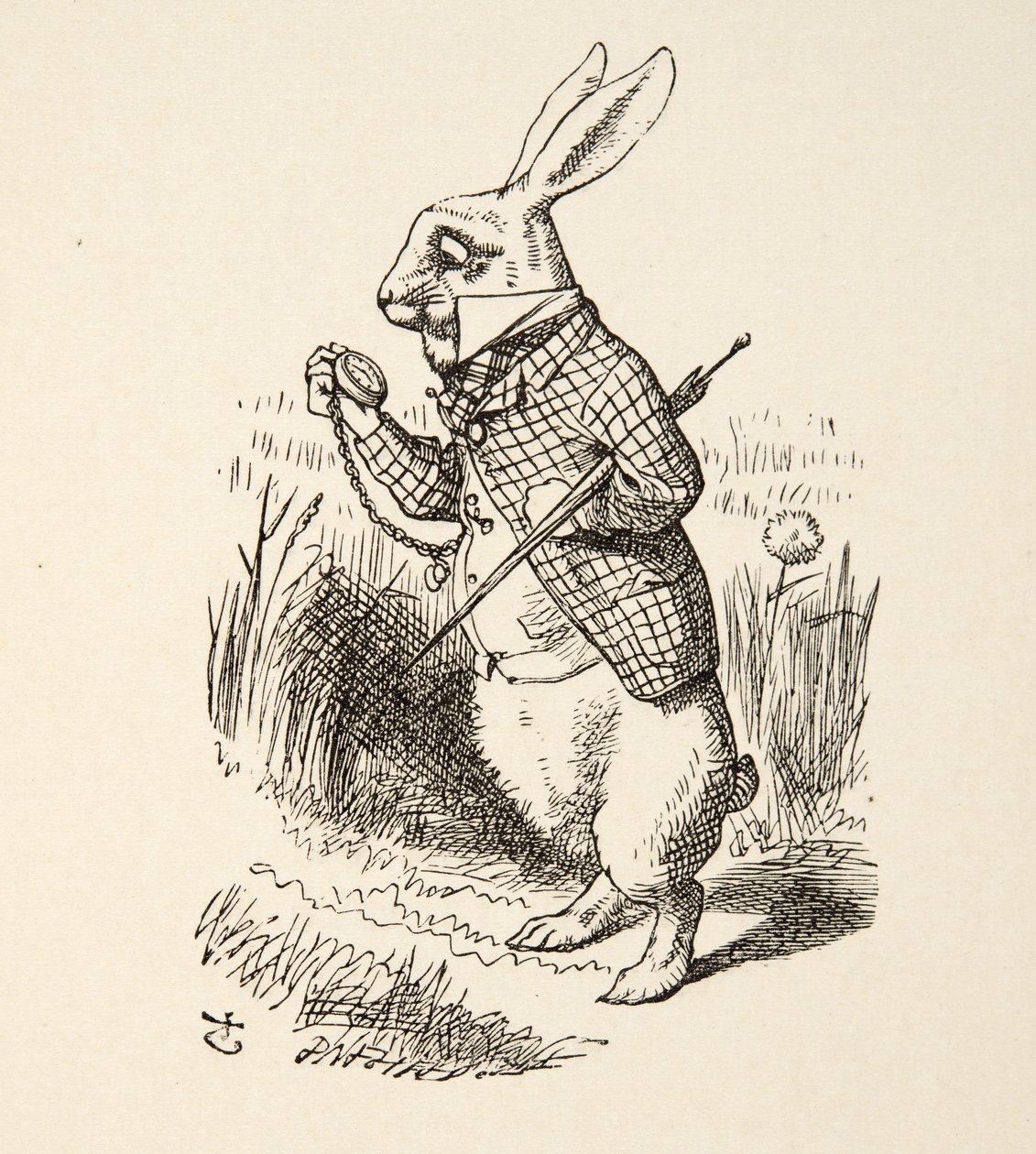 Il Coniglio Bianco, da Le Avventure di Alice nel Paese delle Meraviglie di Lewis Carroll, pub. 1891 da John Tenniel