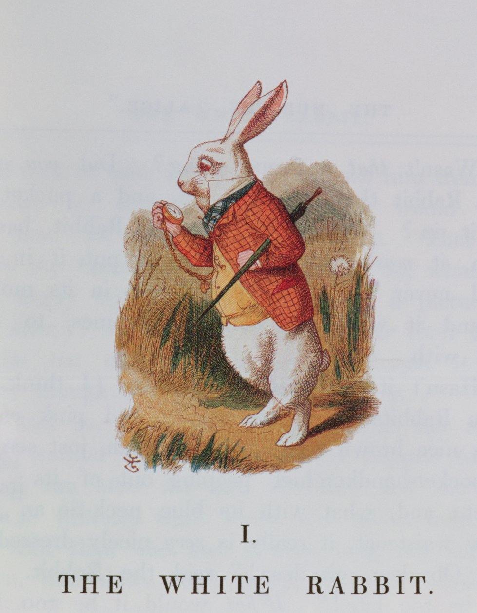 Il Coniglio Bianco, illustrazione da 