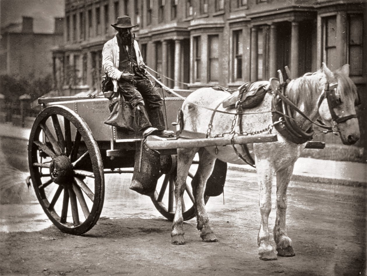 Il carro dell