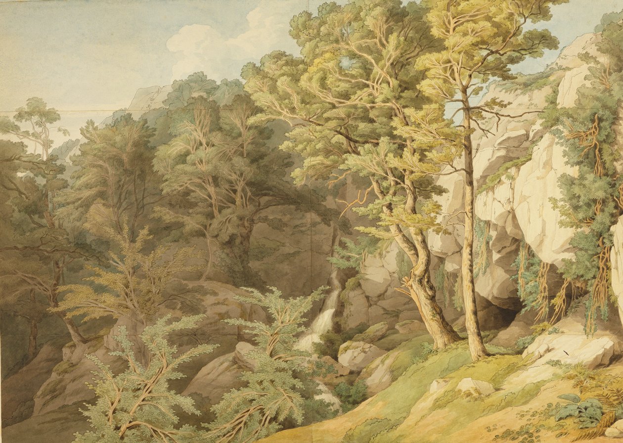 Canonteign, Devon, 1804 da John White Abbott