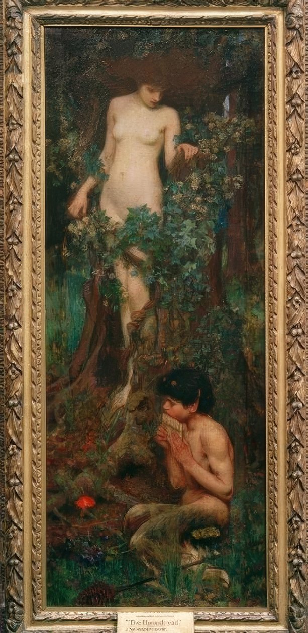 Una Amadriade da John William Waterhouse