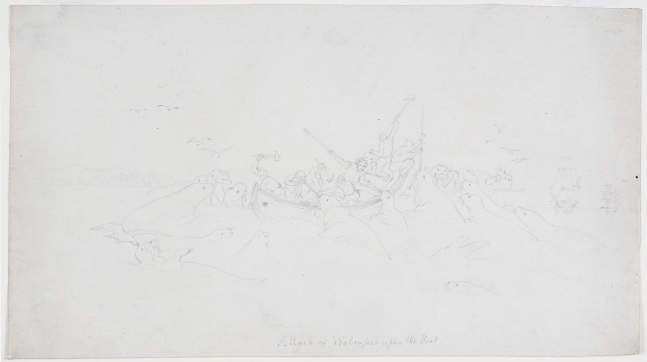 Attacco di trichechi alla barca da John Wilson Carmichael