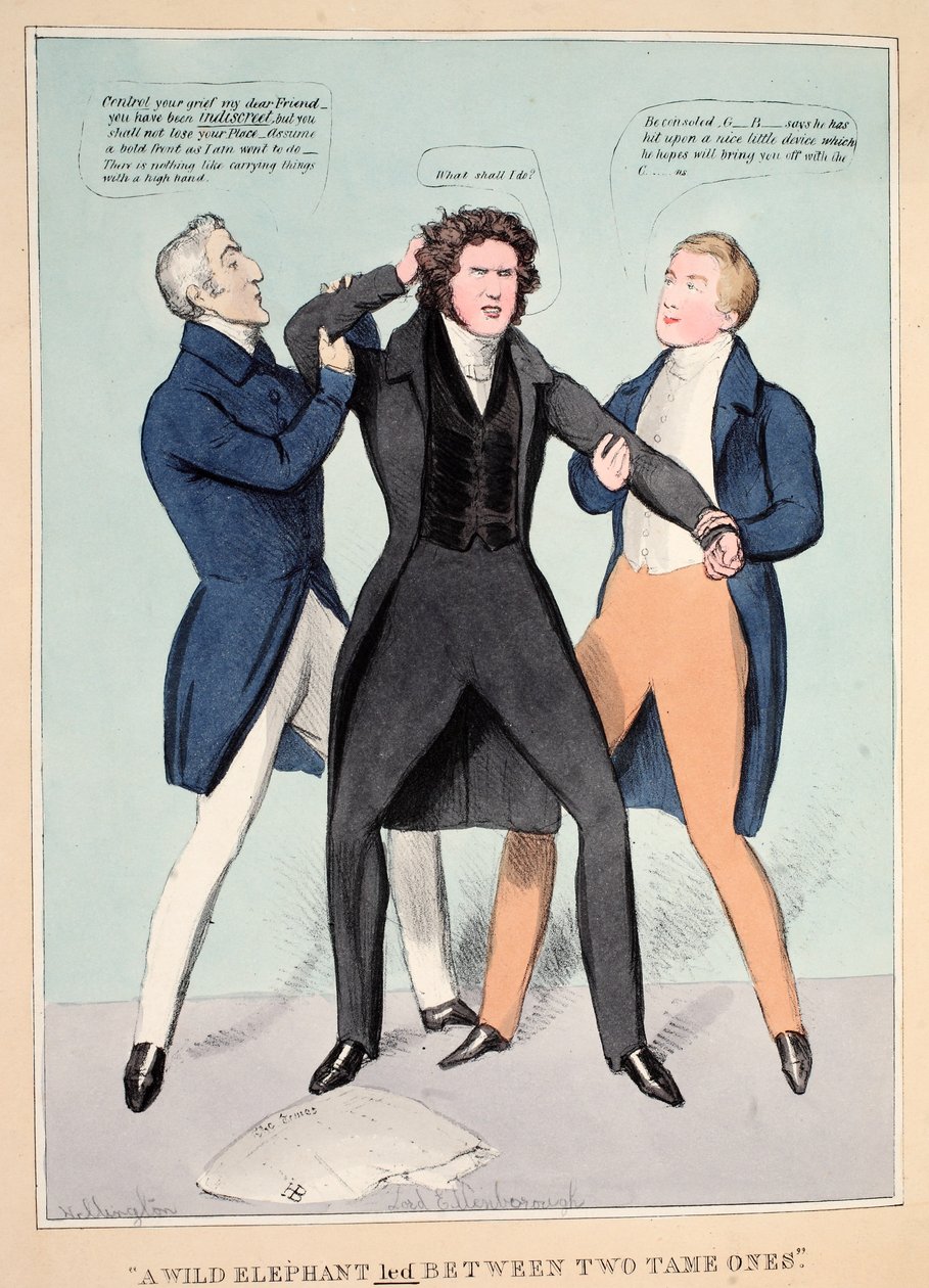 Un elefante selvaggio condotto tra due addomesticati, pub. 1830 da John  Doyle