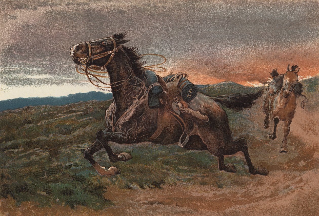 Panico da paura (cromolito) da John (after) Charlton