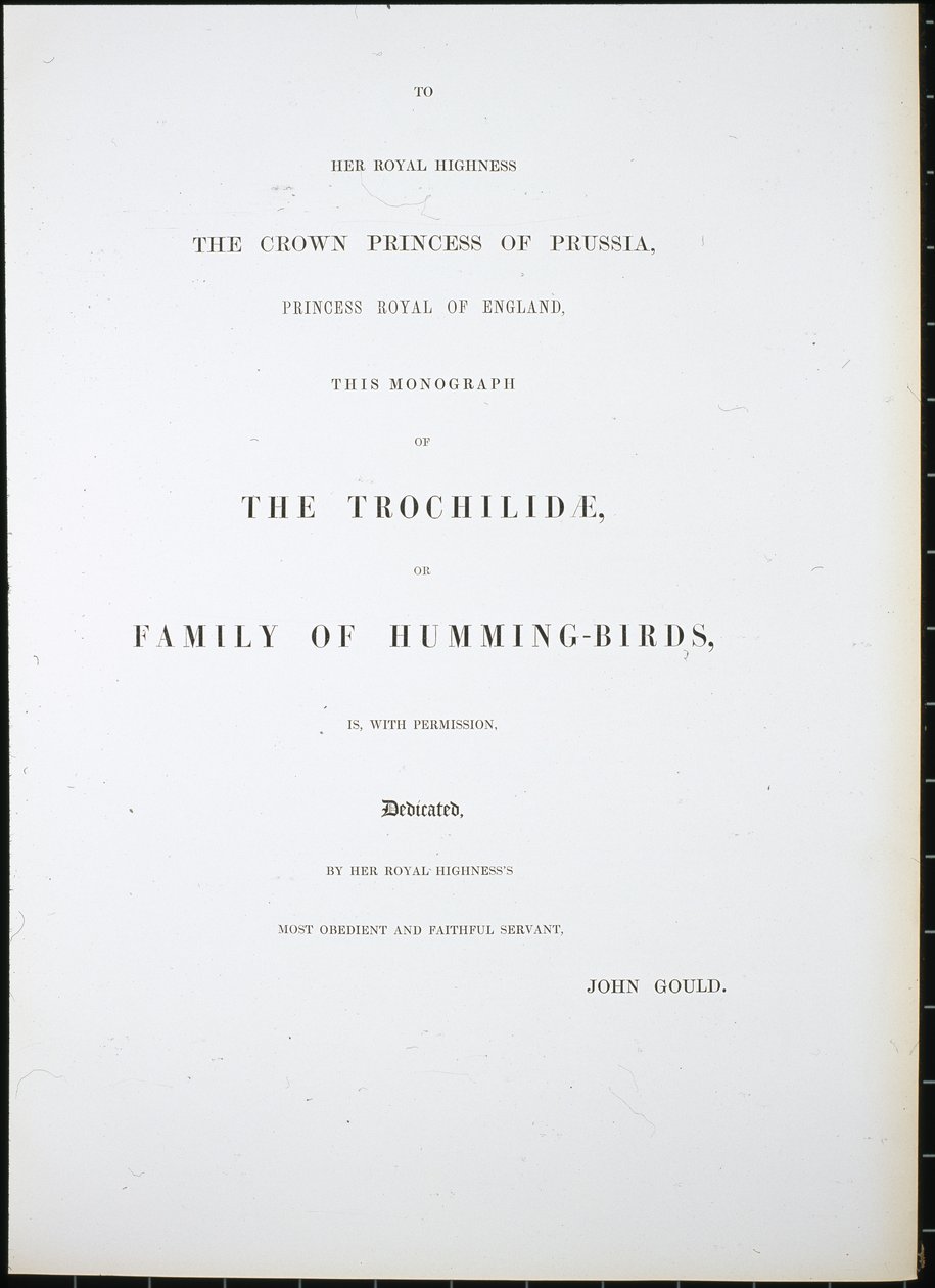 Frontespizio da John (after) Gould
