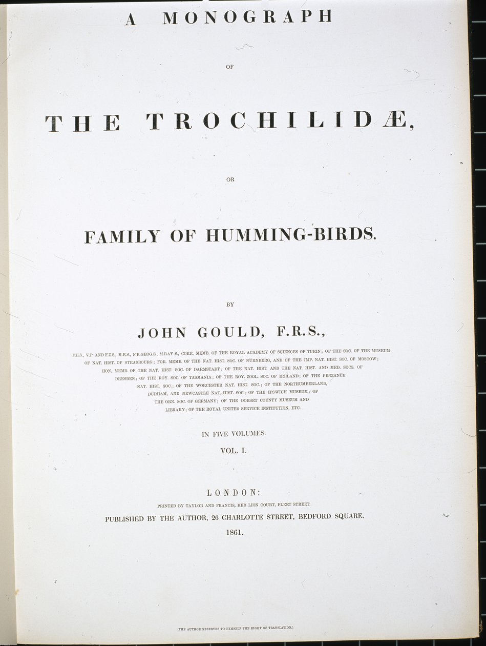 Frontespizio da John (after) Gould