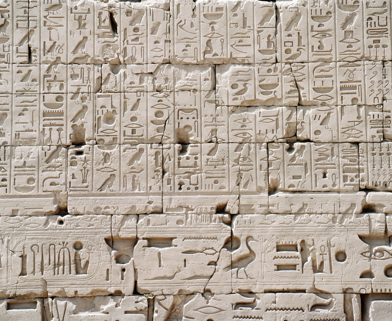 Egitto, Governatorato di Luxor, Karnak, Grande Tempio di Amon, Grande Sala Ipostila, (dettaglio) da Walter Charles Mills