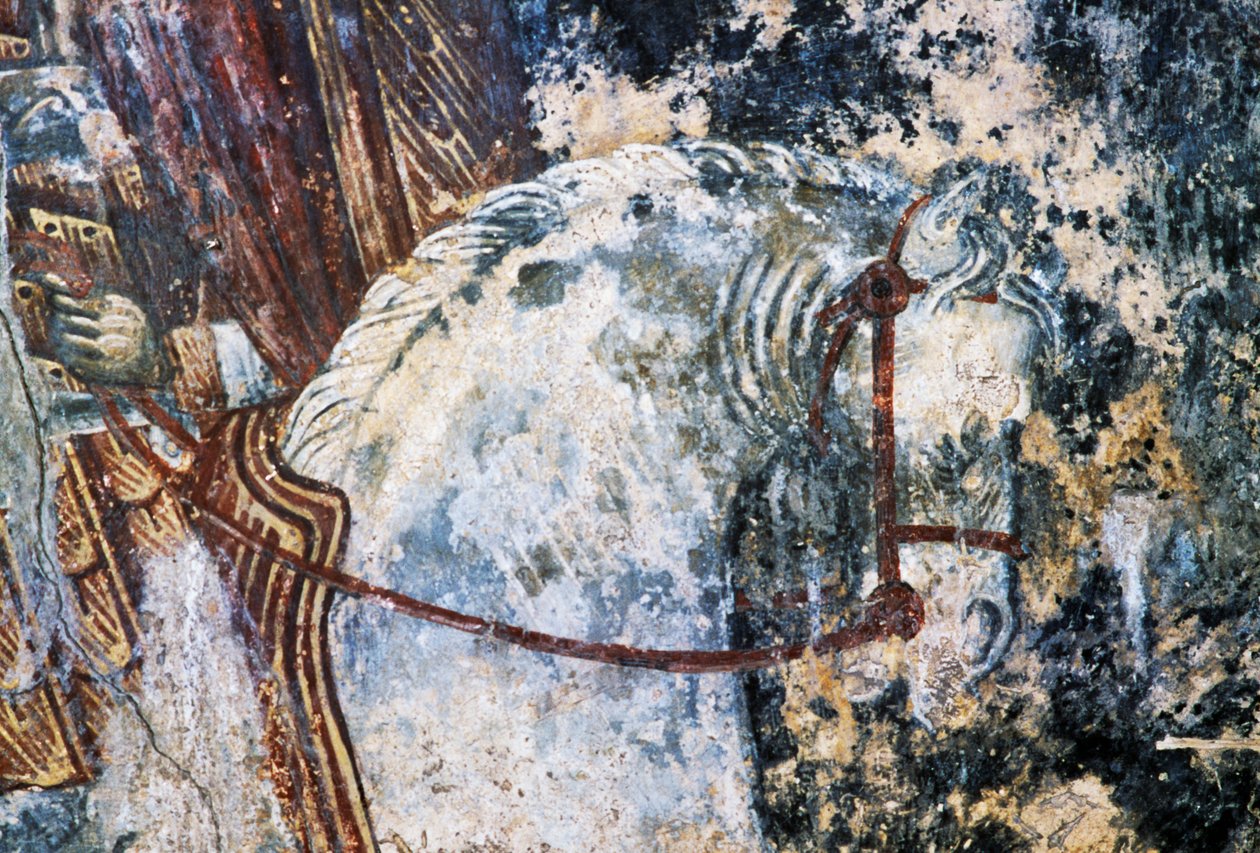 Cavallo, affresco danneggiato sul soffitto della chiesa di Agios Vasileios, Vavouledo, Creta, Grecia da Walter Charles Mills