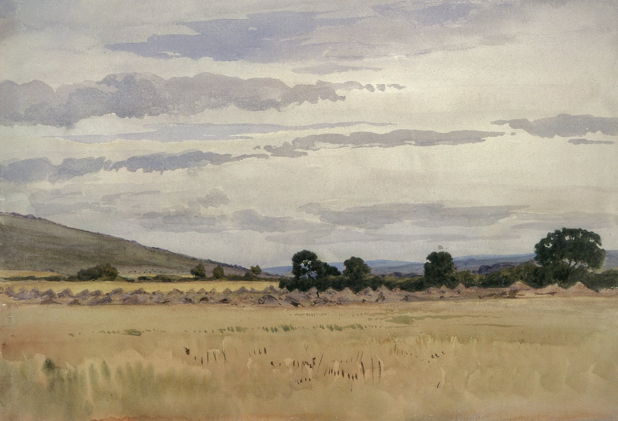Paesaggio con campo di grano da John Absolon