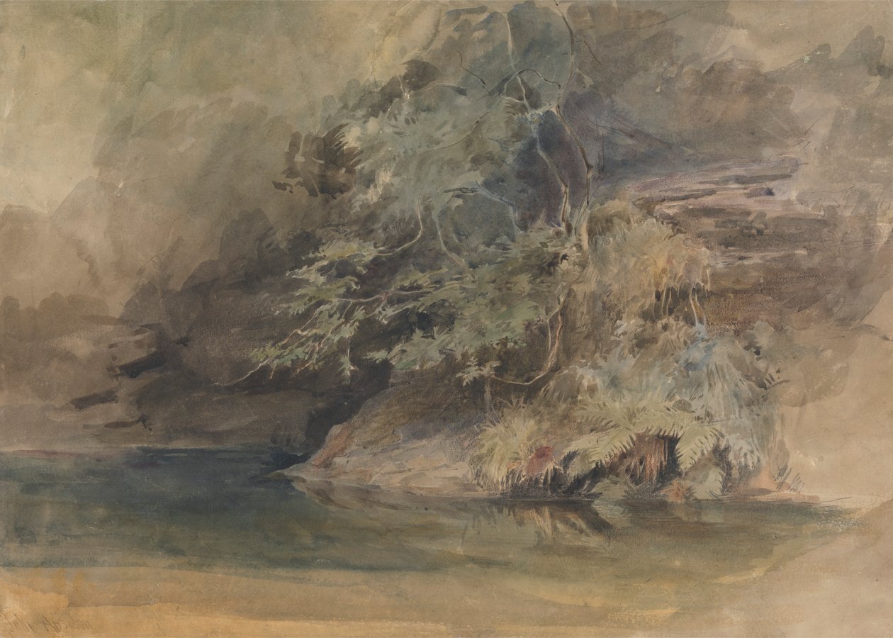 Alberi vicino a una piscina da John Absolon