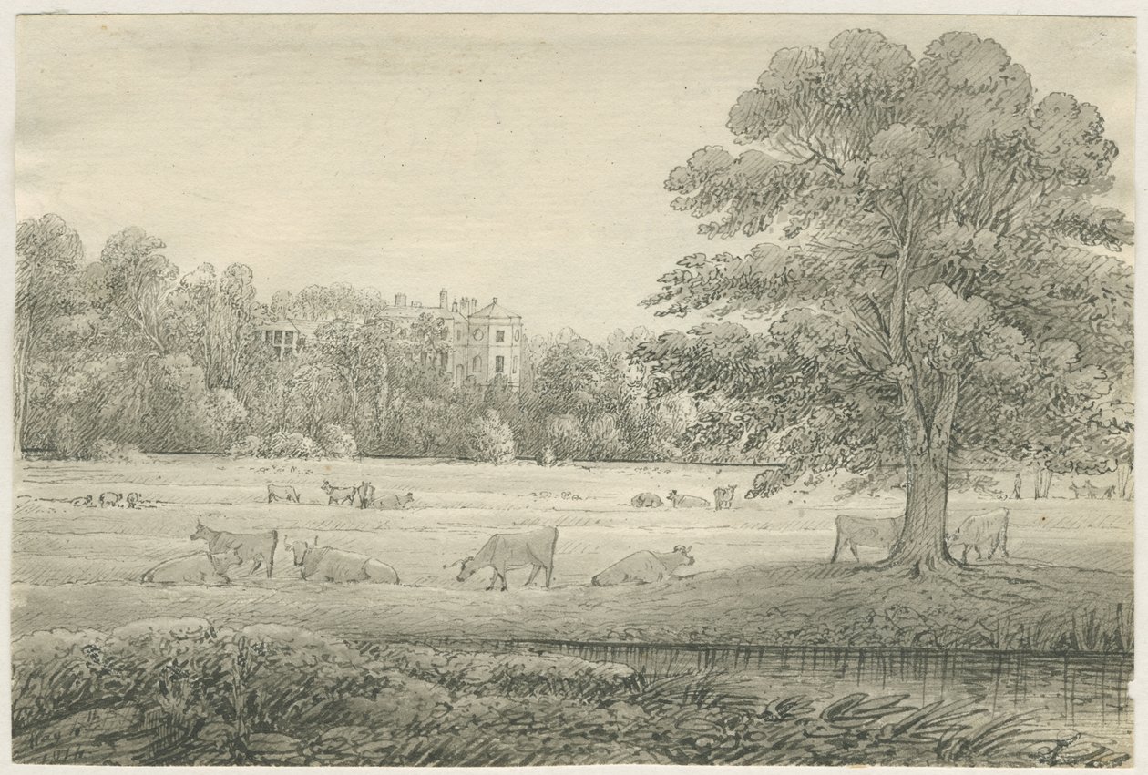 Hagley Hall da John Allport