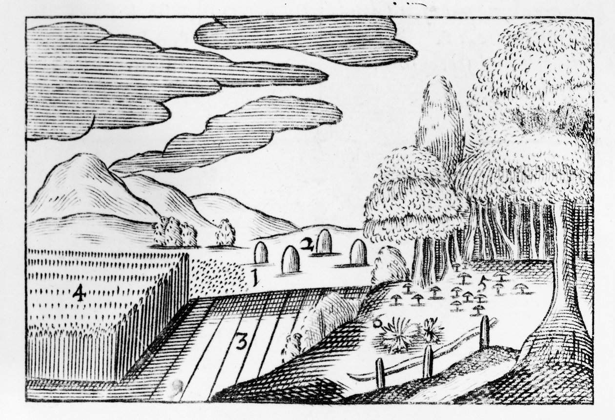 Frutti della Terra, 1658 da John Amos Comenius
