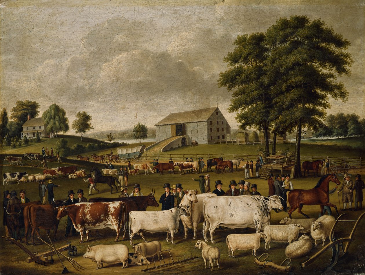 Una fiera di campagna in Pennsylvania, 1824 da John Archibald Woodside