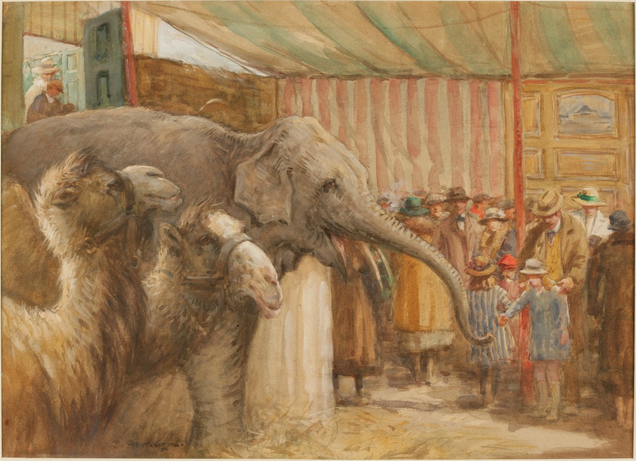 Il menagerie di Bostock e Wombwell da John Atkinson