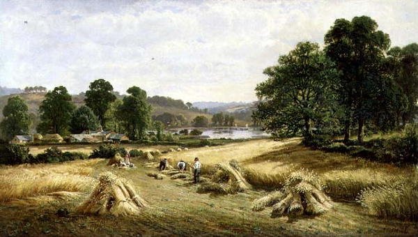 Raccolta del Grano Dorato vicino a Bishopsteignton, Plymouth da John Barrett