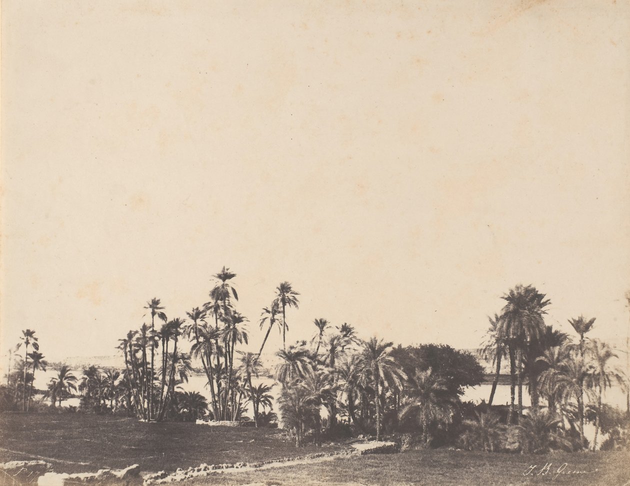 Studio di palme, rive del Nilo, Kalabschi, 1853-54 da John Beasley Greene