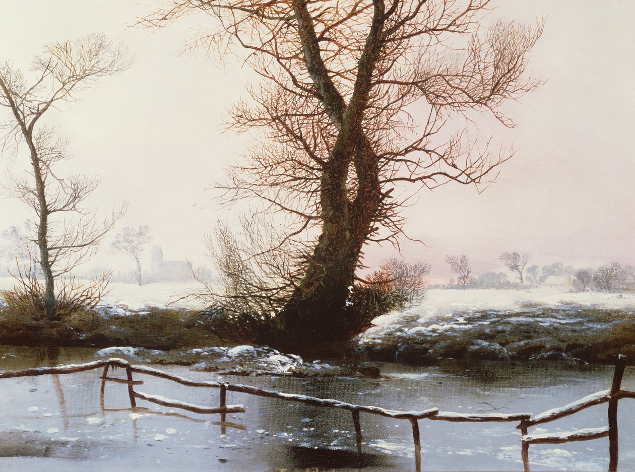 La piscina ghiacciata, 1873 da John Berney Ladbrooke