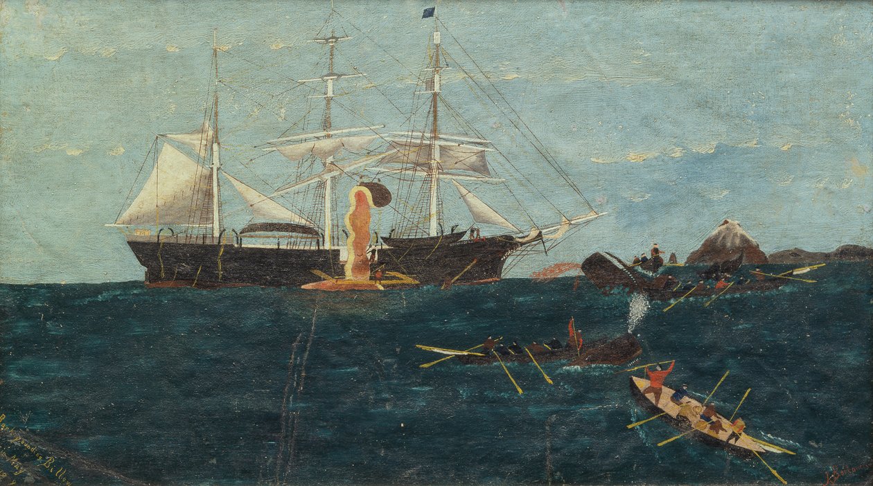 Bark Bounding Billow, 1892 circa (olio su tela) da John Bertoncini