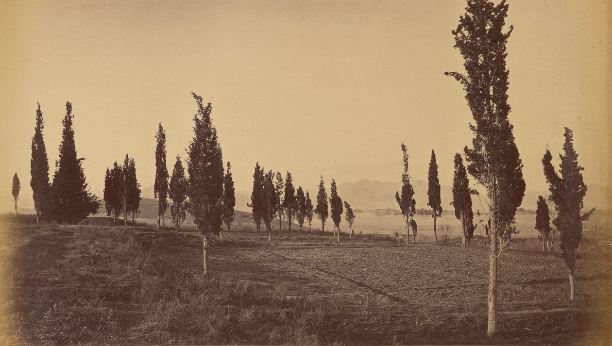 Vista a volo d