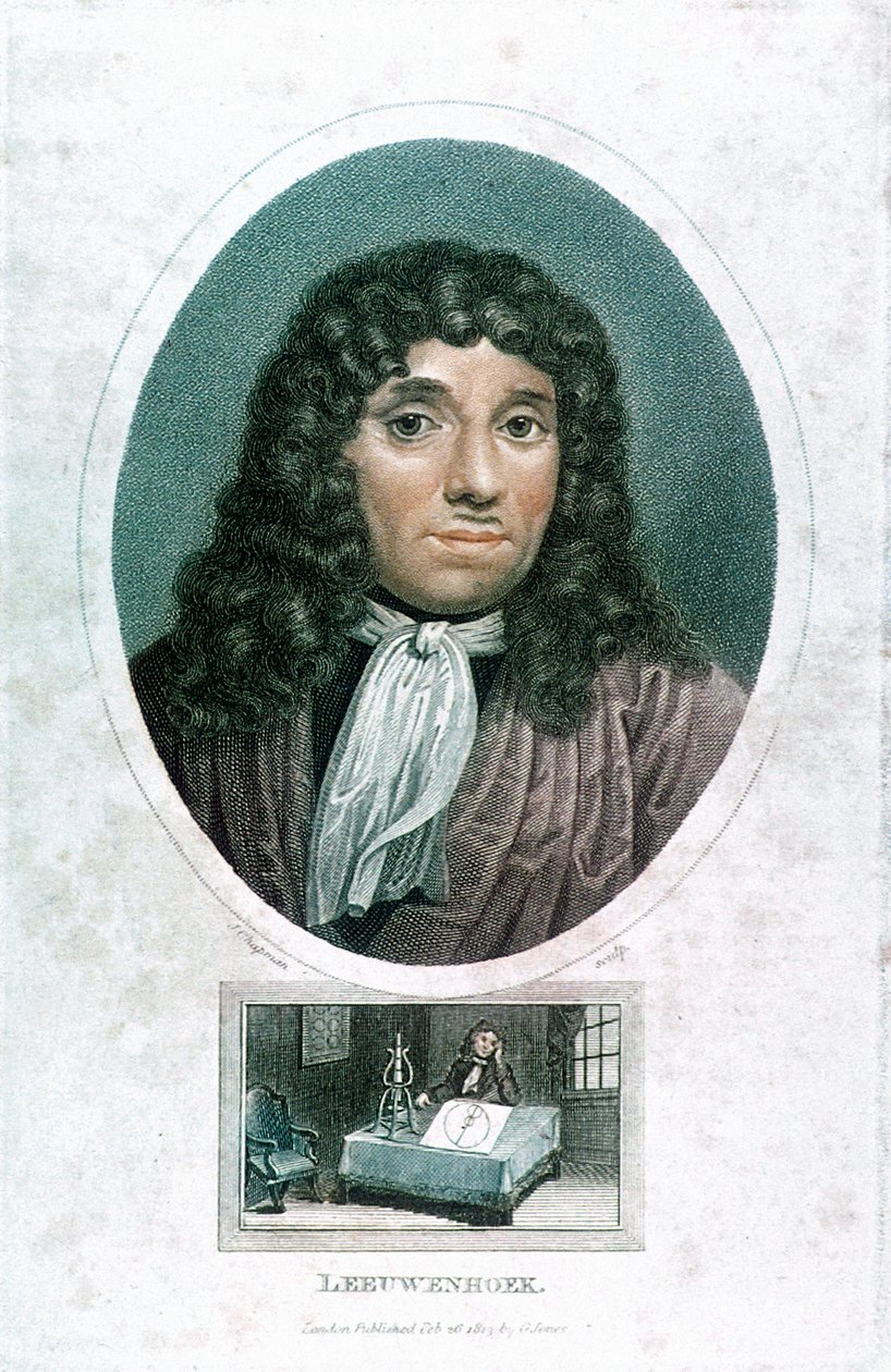 Anton van Leeuwenhoek 1632-1723, microscopista olandese, c1810 da John Chapman