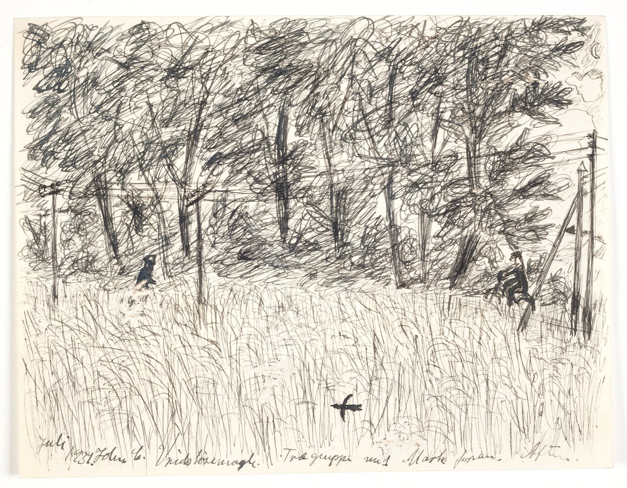Vridsløsemagle. Gruppo di alberi con campo davanti. Sera da John Christensen