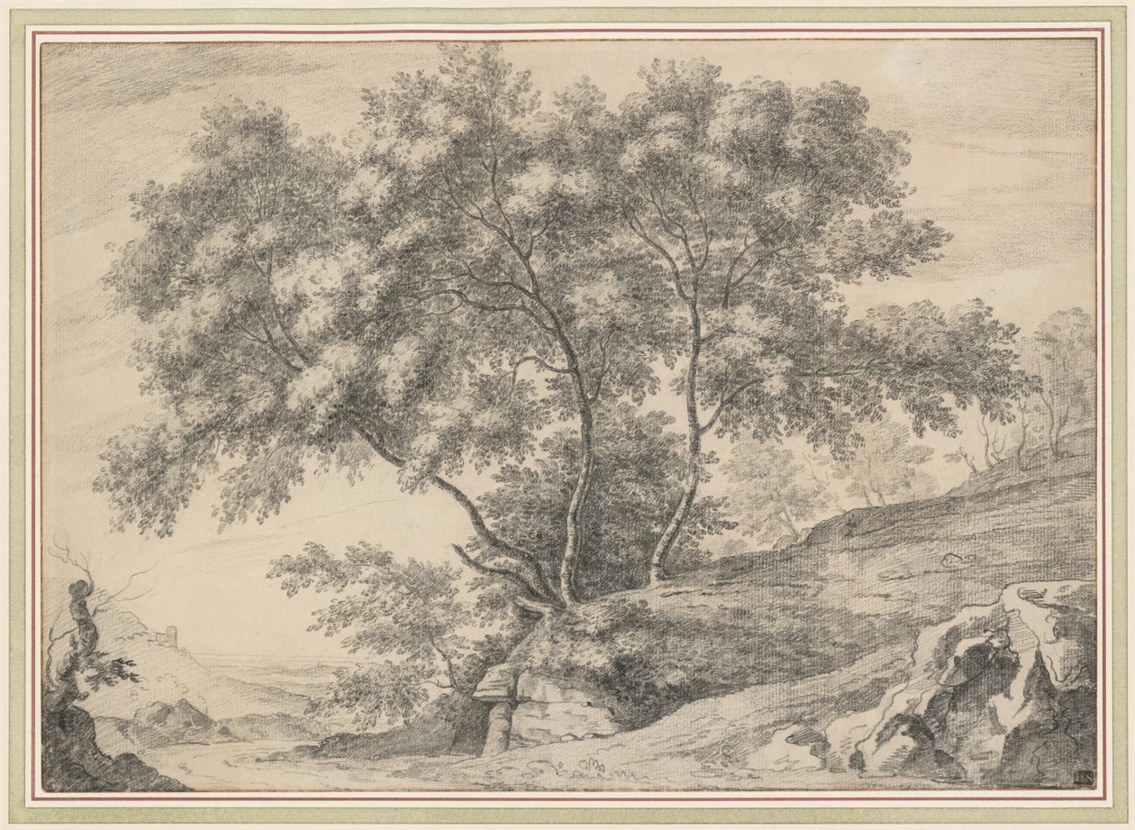 Un gruppo di alberi su uno sperone roccioso da John Claude Nattes