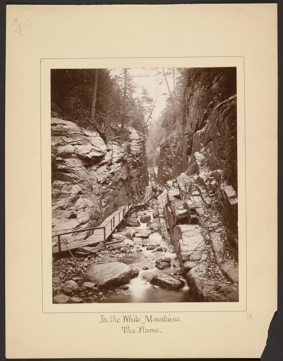 Nelle Montagne Bianche/The Flume da John Coates Browne
