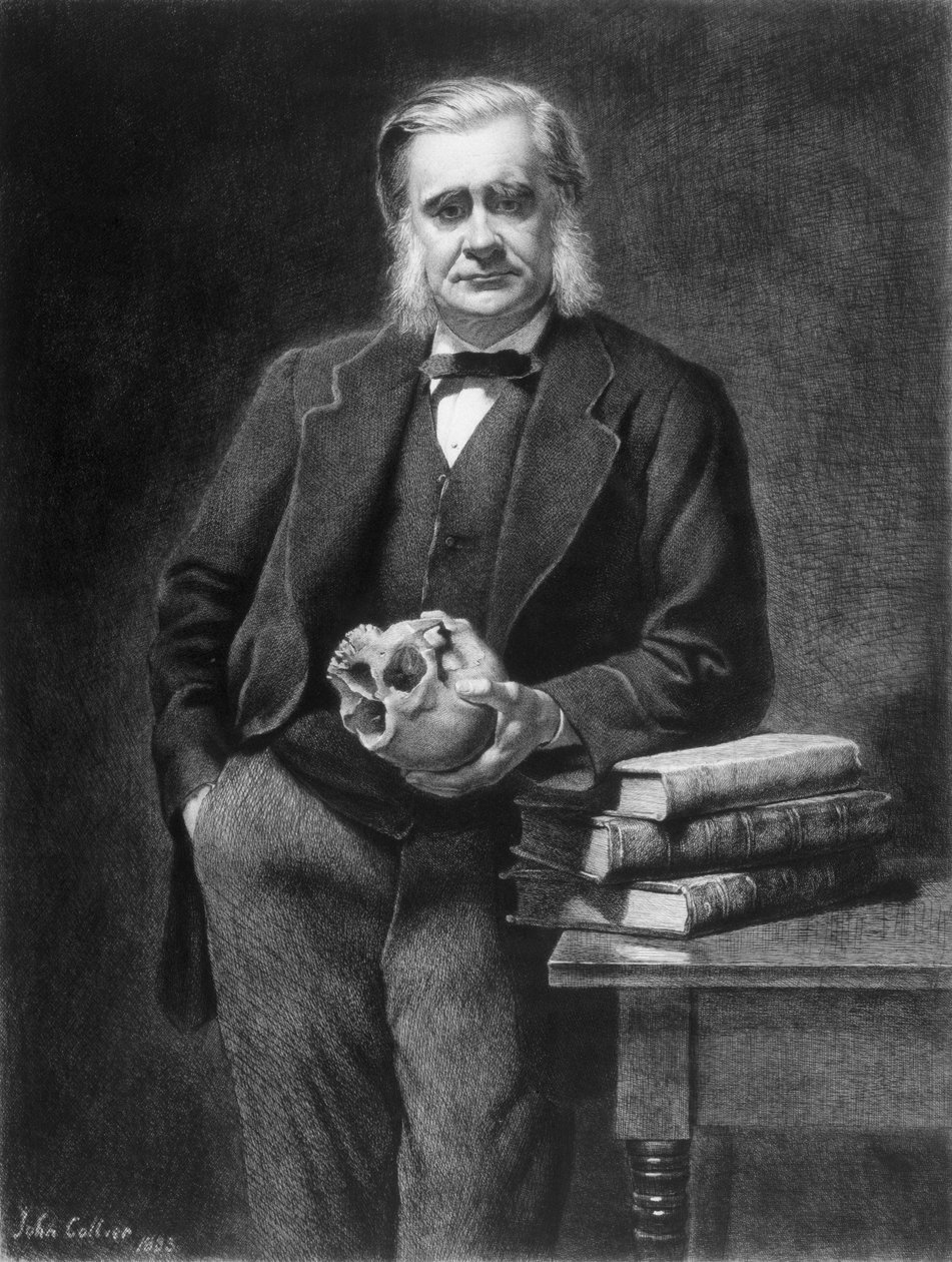 Thomas Henry Huxley (1825-95) inciso da Leopold Flameng (1831-1911) 1885 da John Collier