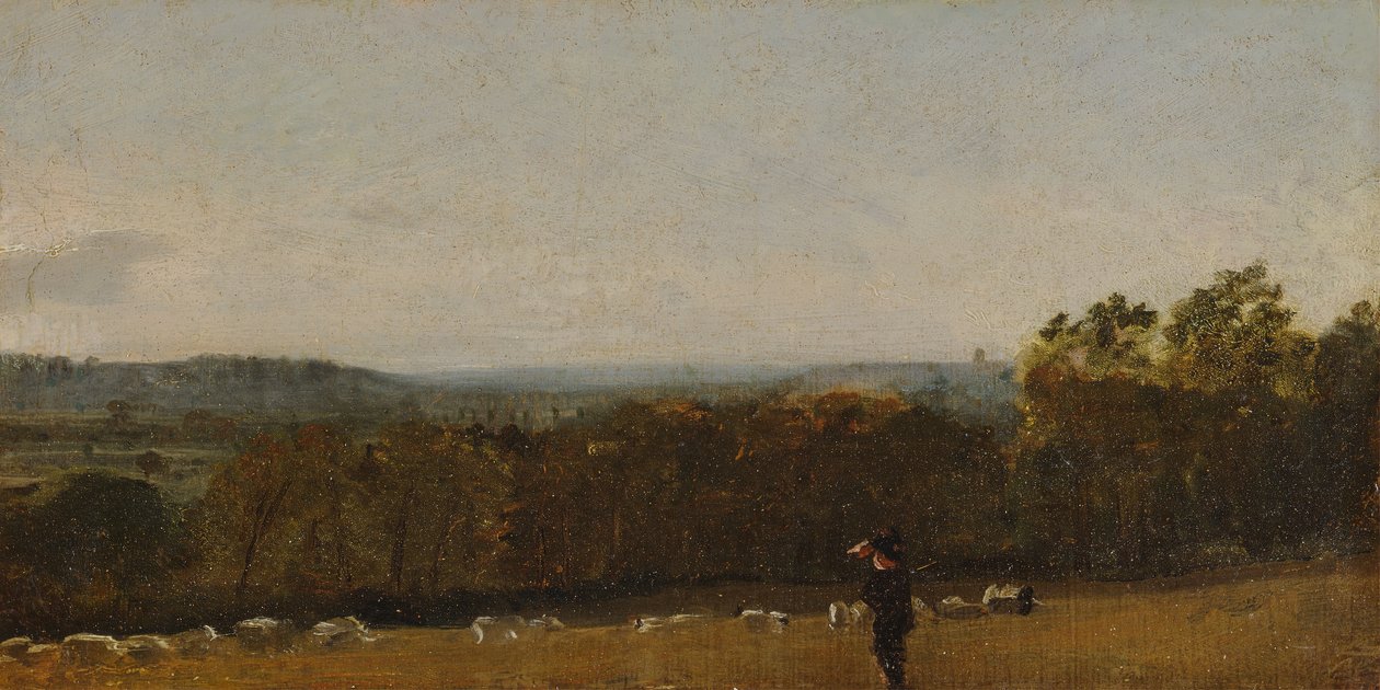 Un pastore in un paesaggio che guarda attraverso Dedham Vale verso Langham, ca. 1811 da John Constable
