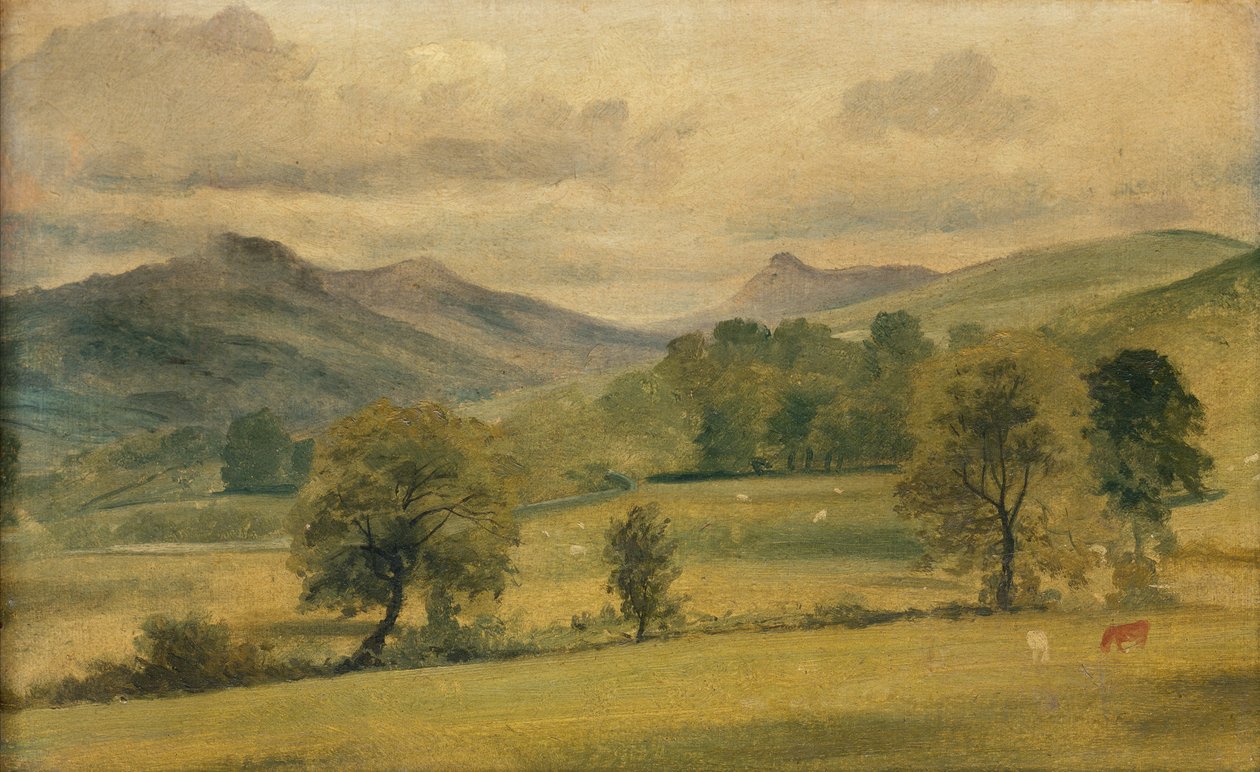 Una Vista nel Distretto dei Laghi da John Constable
