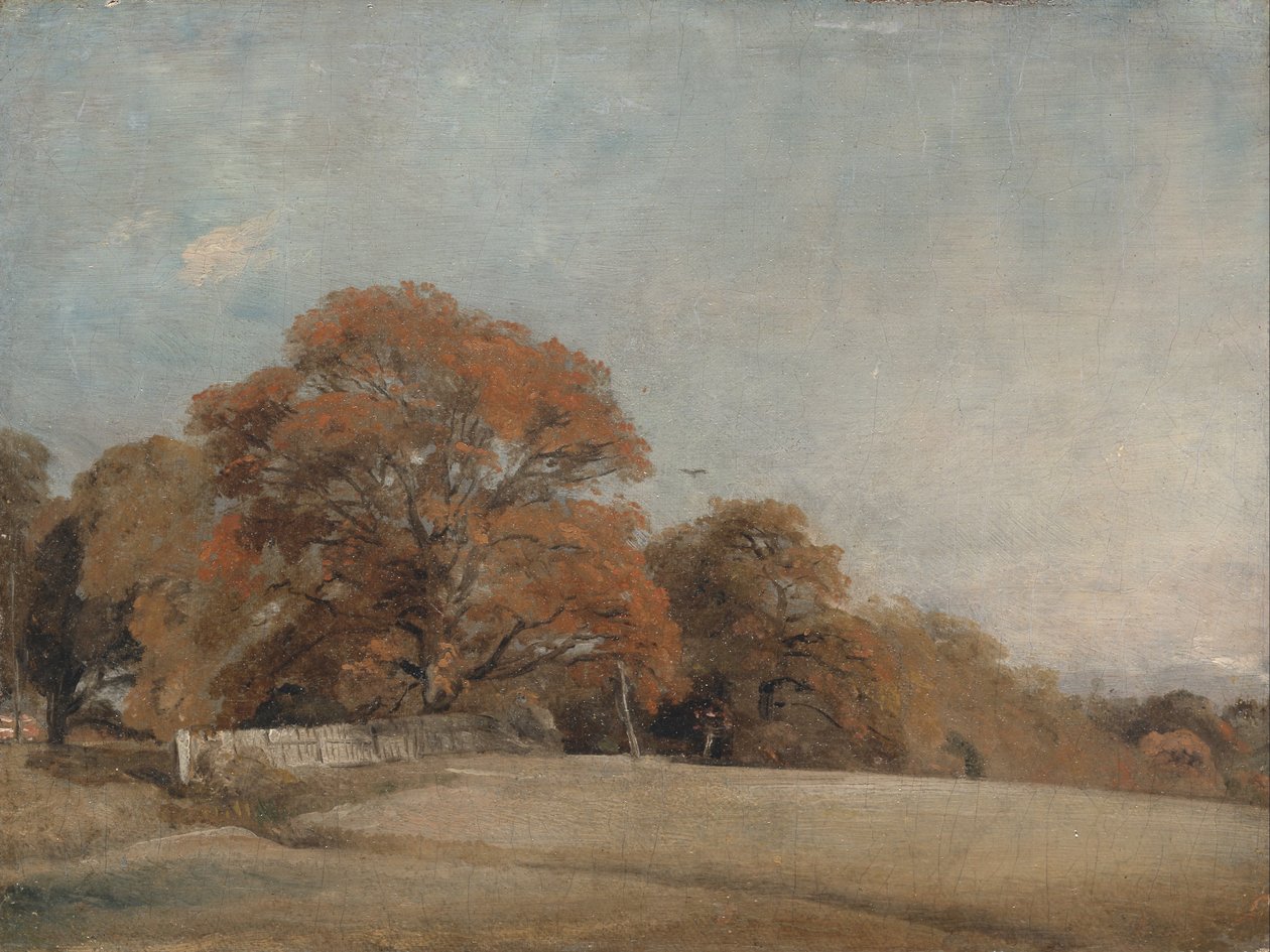Un paesaggio autunnale a East Bergholt da John Constable
