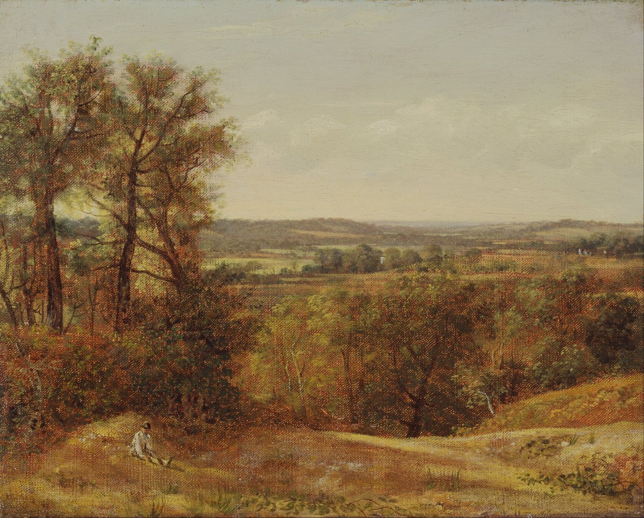 Dedham Vale da John Constable