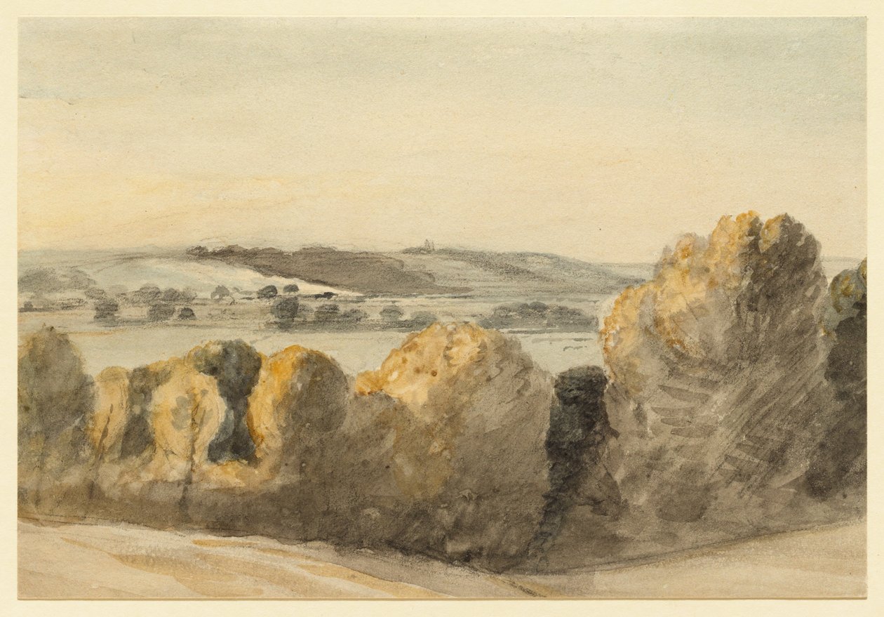 Valle di Dedham da John Constable