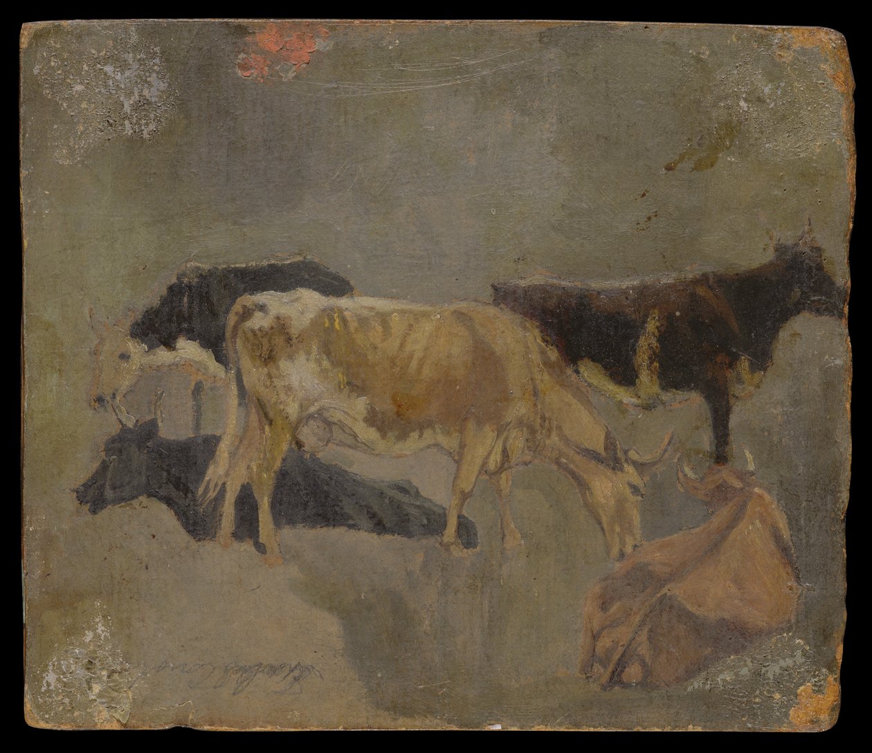 Studio di cinque bovini cornuti (verso) da John Constable
