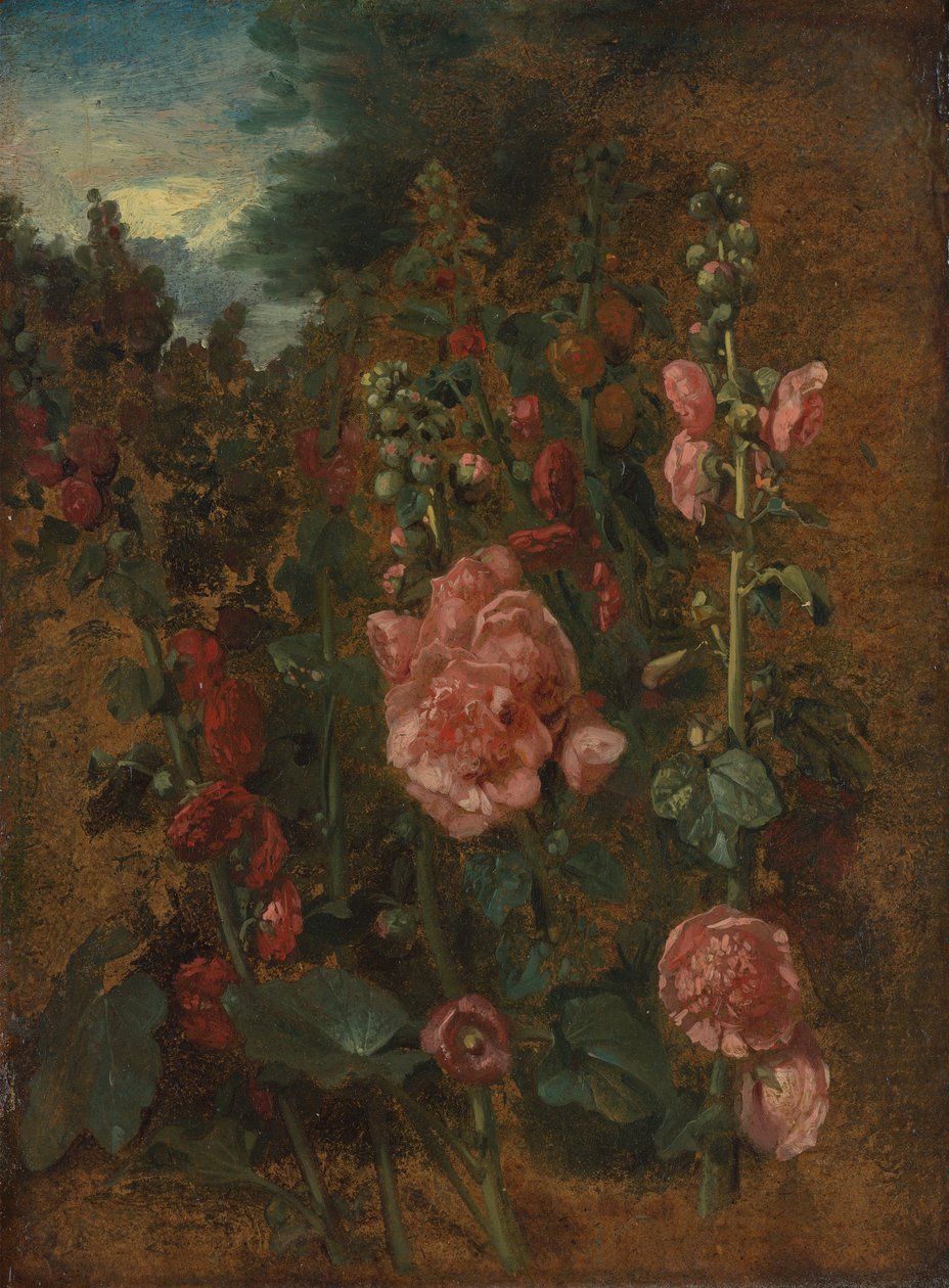 Studio di malvarosa da John Constable