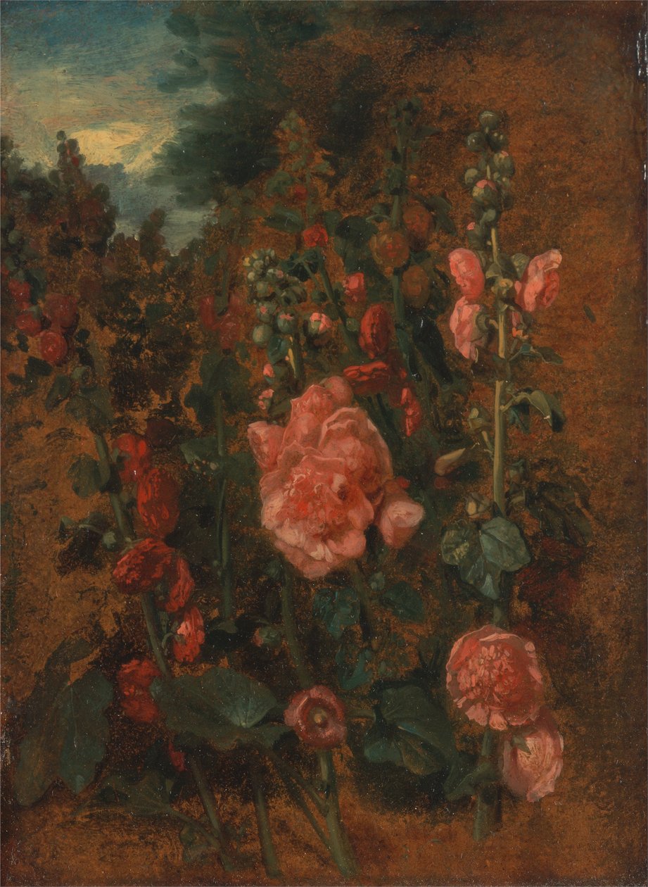 Studio degli agrifogli da John Constable