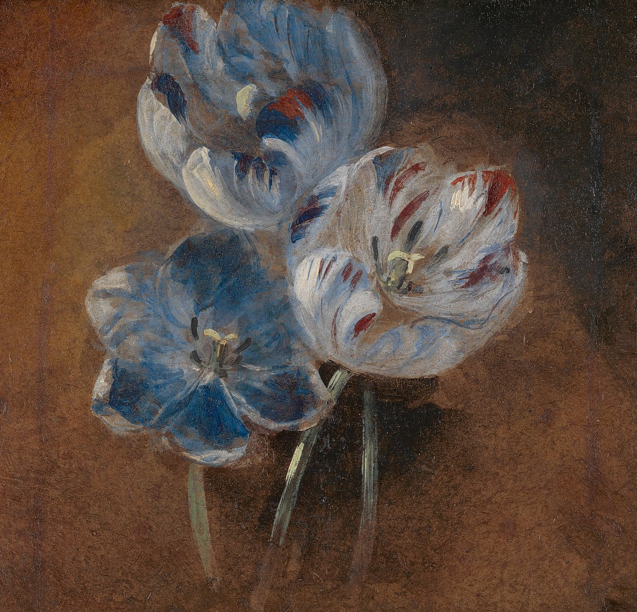 Studio di tre tulipani pappagallo da John Constable