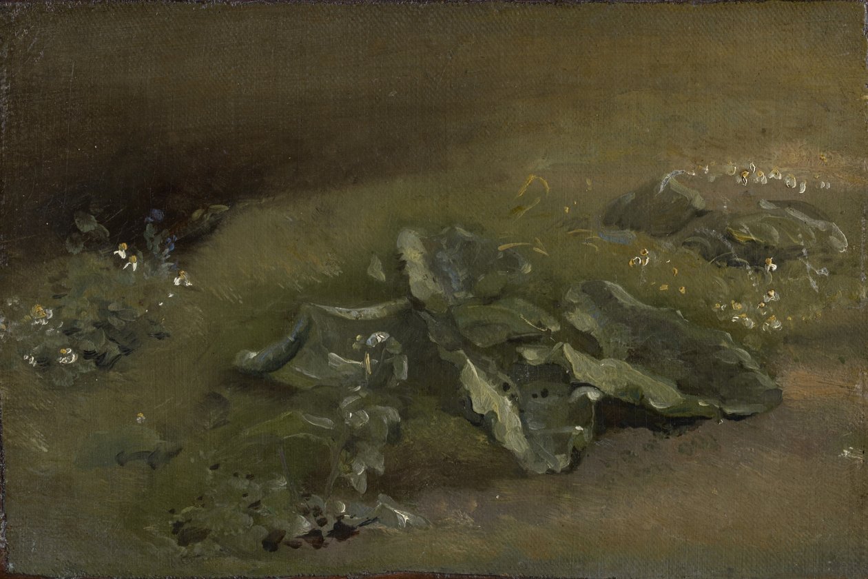Studio di una bardana da John Constable