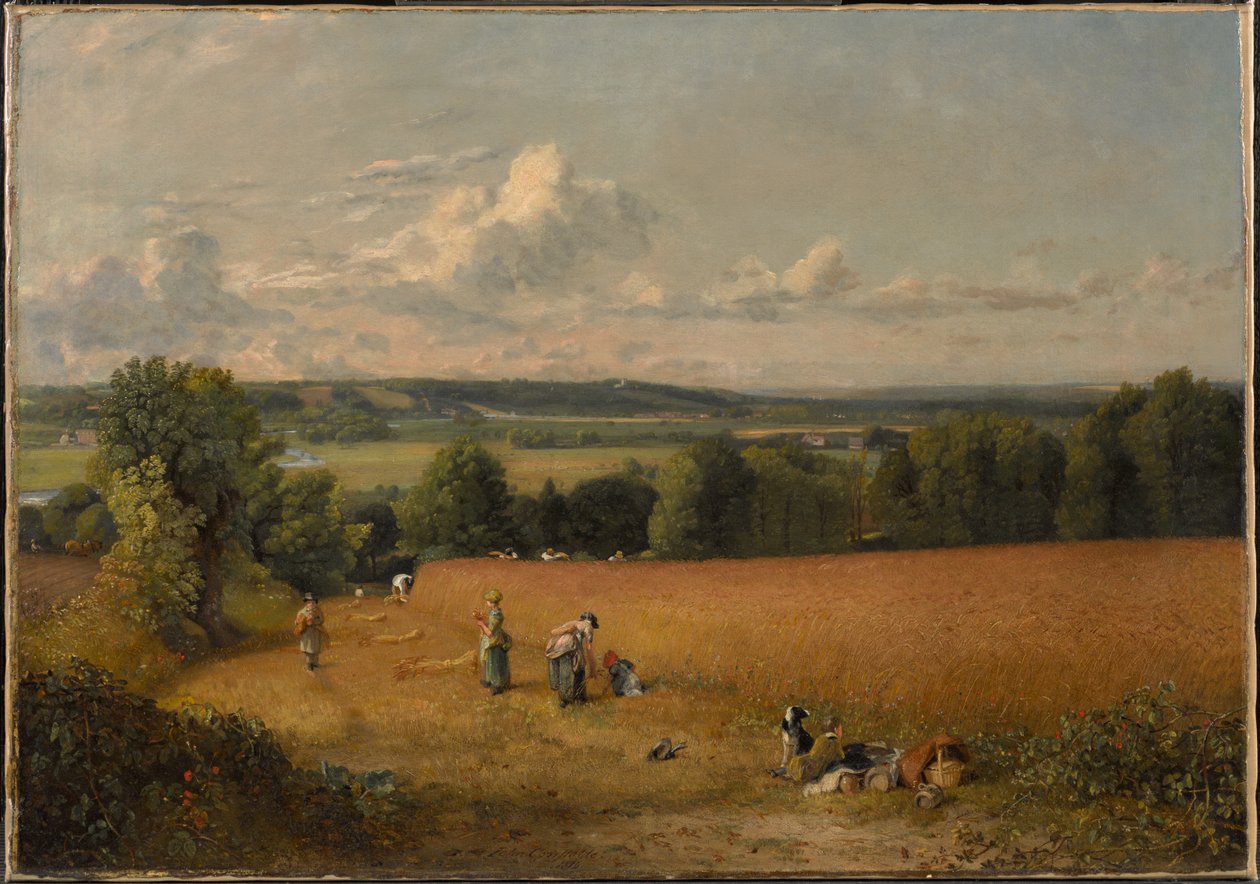 Il campo di grano da John Constable