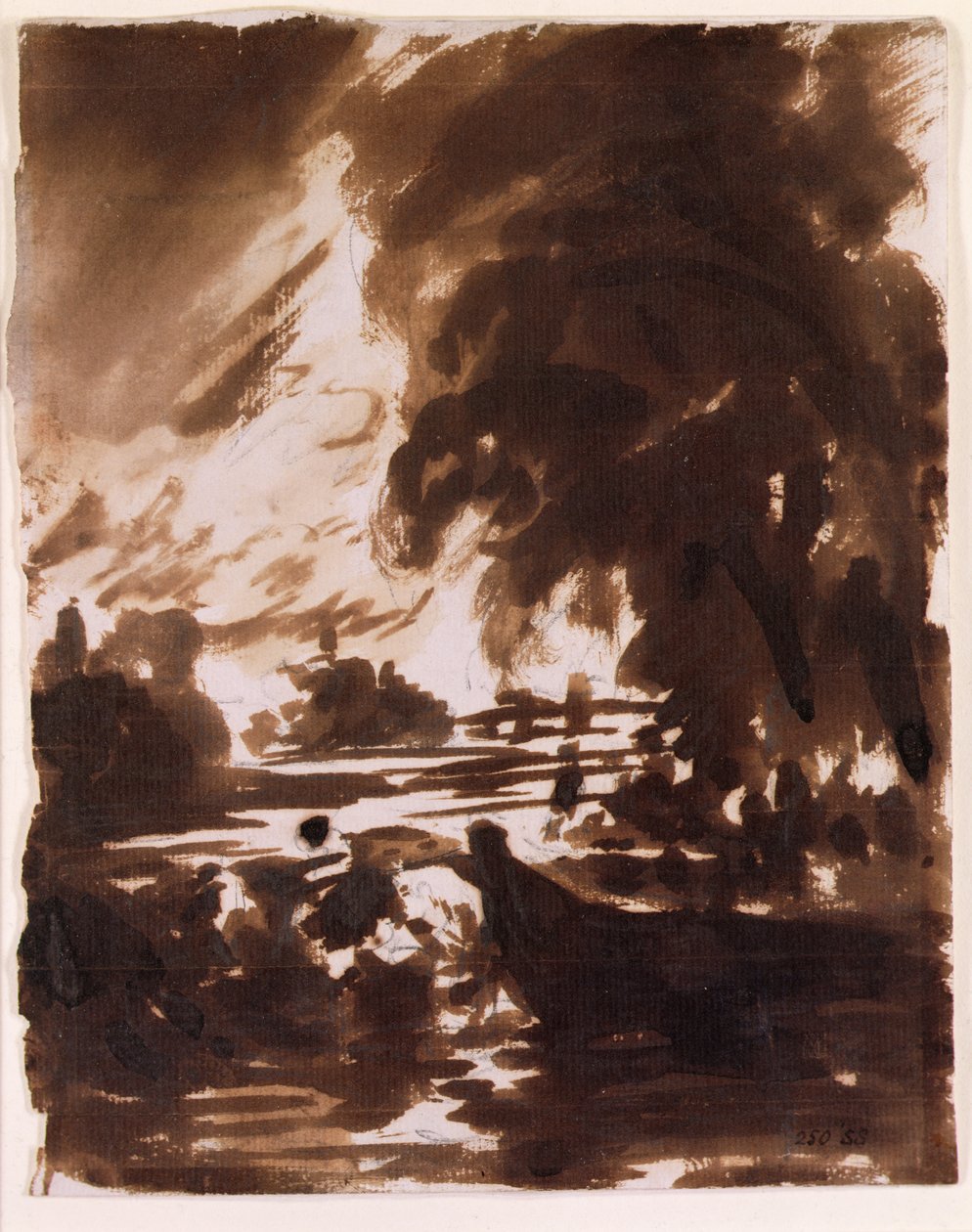 Alberi e tratto d