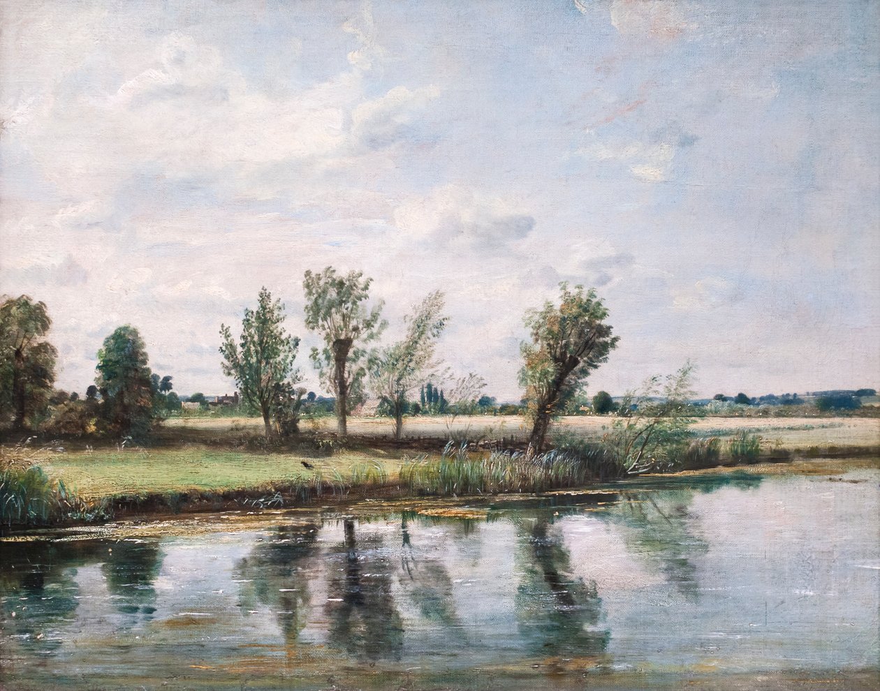 Prati acquatici vicino a Salisbury da John Constable
