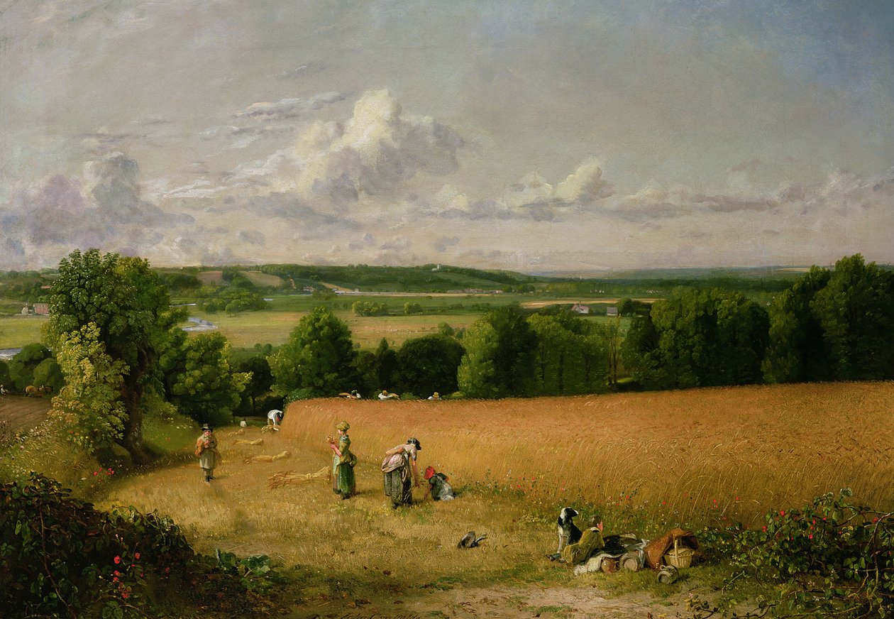 Campo di grano da John Constable