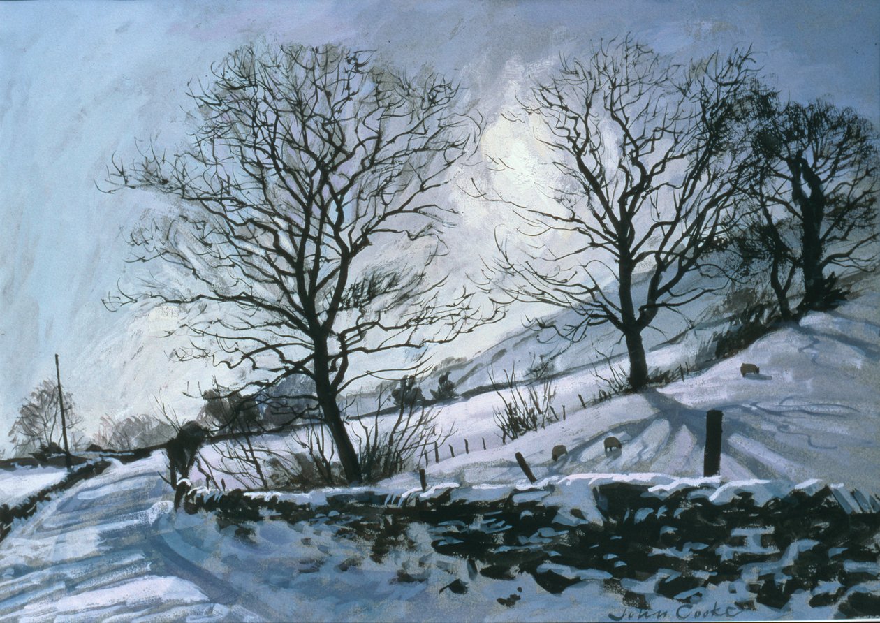 Pomeriggio invernale a Dentdale da John Cooke