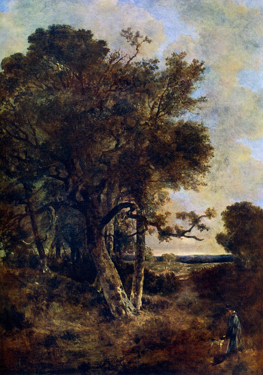 Ai margini della foresta da John Crome