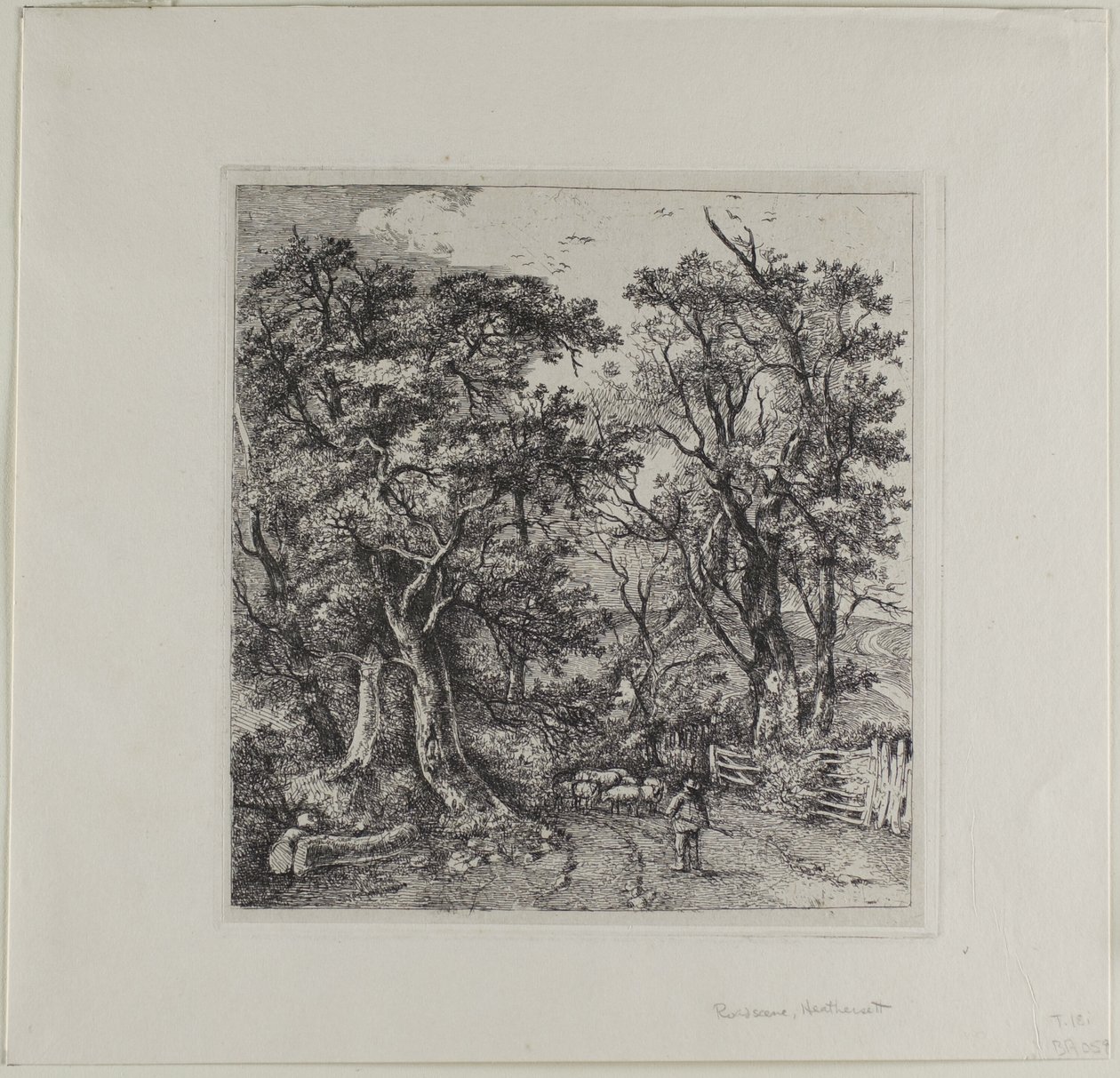 Scena di strada, Heathersett da John Crome