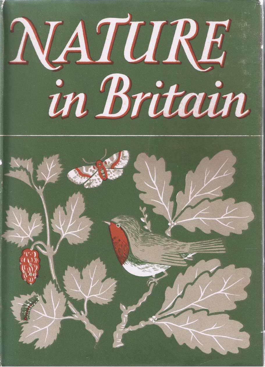Studio di alberi, da "La natura in Gran Bretagna" pubblicato da Collins, 1946 da John Crome